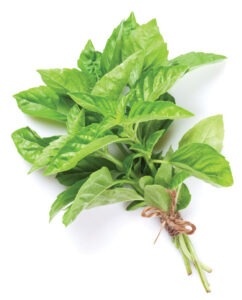 4 Anti-Inflammatory Plants to Grow and Eat